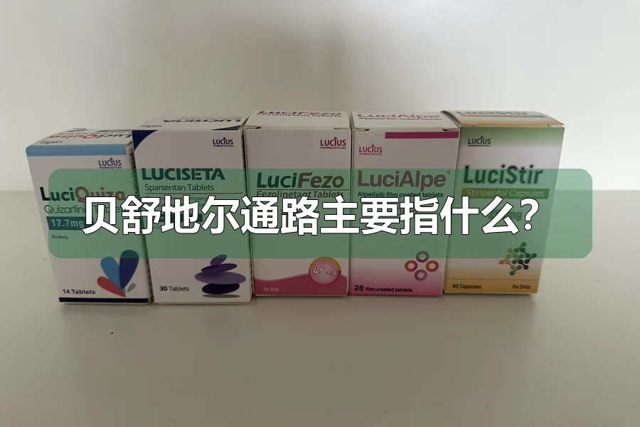 贝舒地尔通路主要指什么?